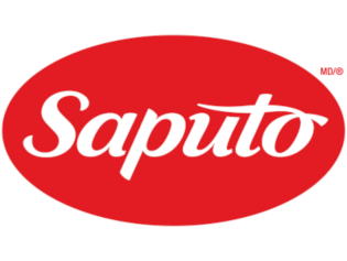 مدیریت استراتژیک شرکت ساپوتو