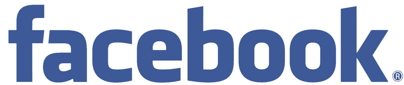 چشم انداز شرکت فیسبوک