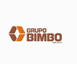 مدیریت استراتژیک گروپو بیمبو